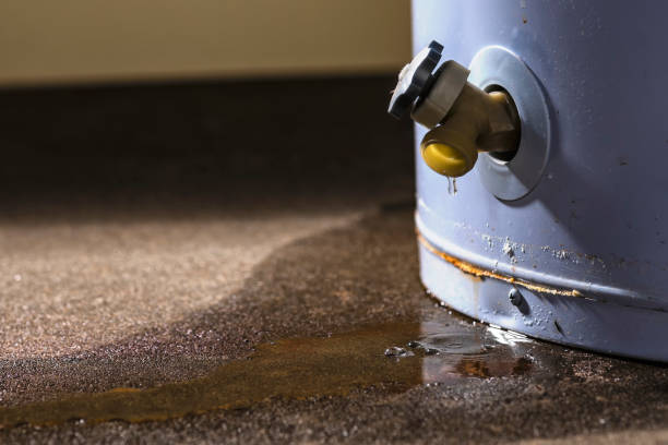 Best Flooded house restoration  in Eureka Springs, AR