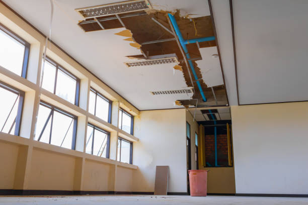Best Water damage contractors near me  in Eureka Springs, AR