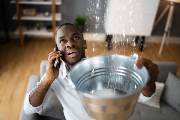 Best Water damage restoration process  in Eureka Springs, AR