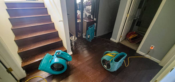 Best Water damage cleanup near me  in Eureka Springs, AR