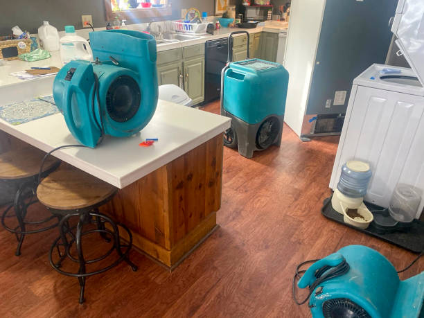 Best Flood damage cleanup  in Eureka Springs, AR