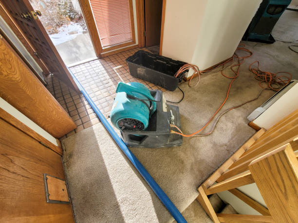 Best Flood restoration services  in Eureka Springs, AR