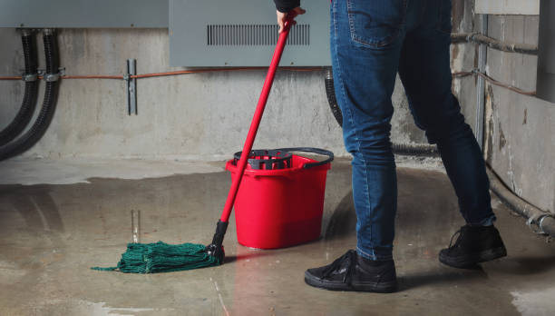 Best Professional water damage repair  in Eureka Springs, AR