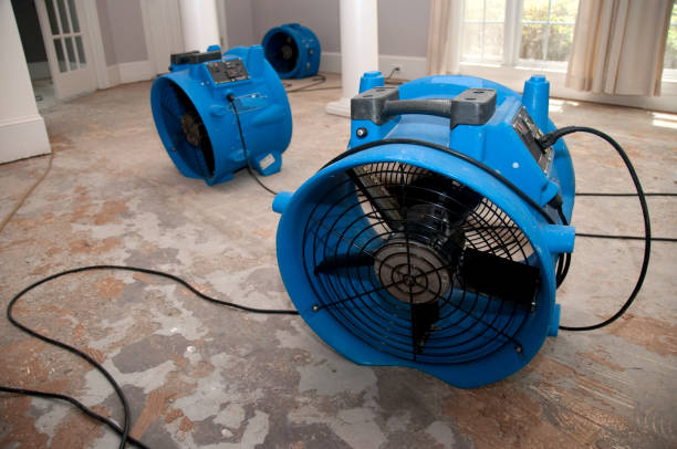 Best Professional water damage repair  in Eureka Springs, AR