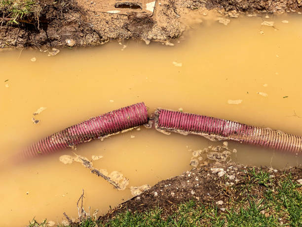Best Carpet water damage restoration  in Eureka Springs, AR