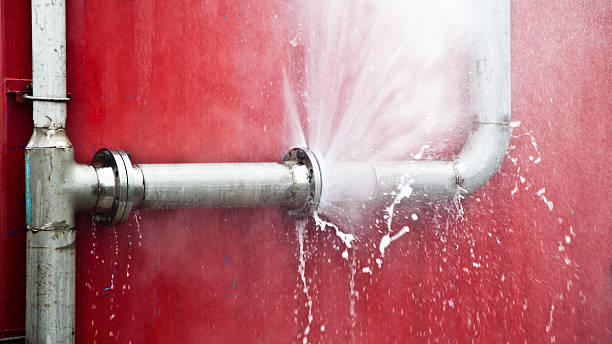 Best Water damage cleanup near me  in Eureka Springs, AR